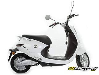 Scooter 50cc SXT Gekko